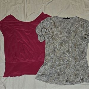 WHBM White House Black Market  Two Short Sleeve Tops Buisness Professional Tops
